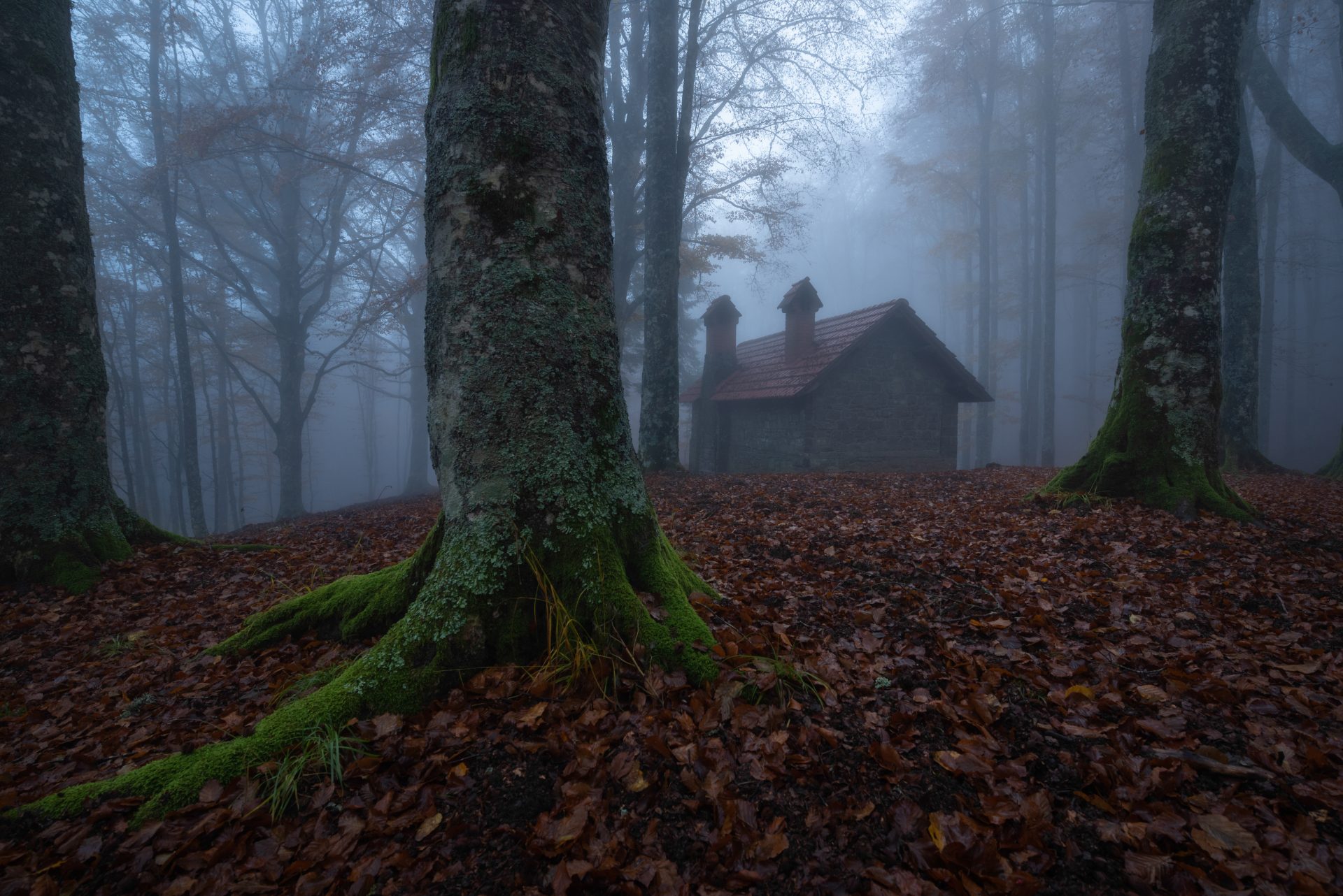 Autunno, foreste e cascate